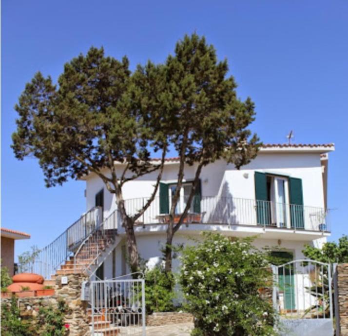 Il Ginepro Di Stintino Bed & Breakfast エクステリア 写真